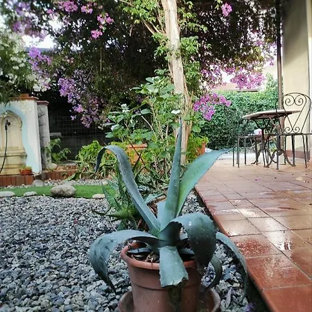 Casa D'amare Semesterbostad